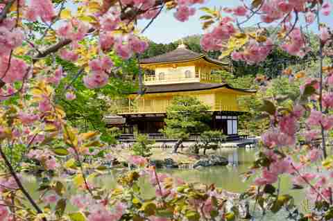 Pavillon d’or Kinkaku-ji à Kyoto