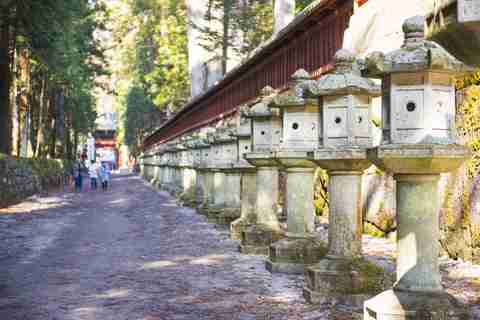 Allée du sanctuaire Futarasan à Nikko