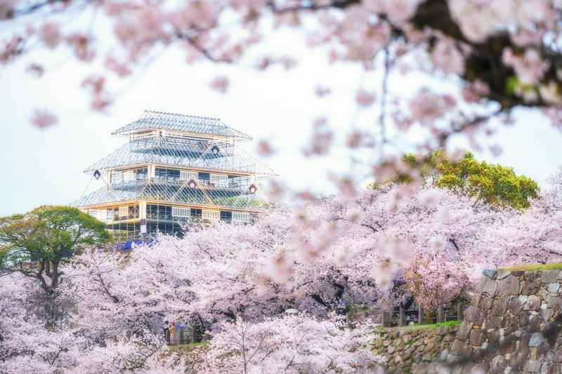 Ruines du château de Fukuoka dans le parc Maizuru