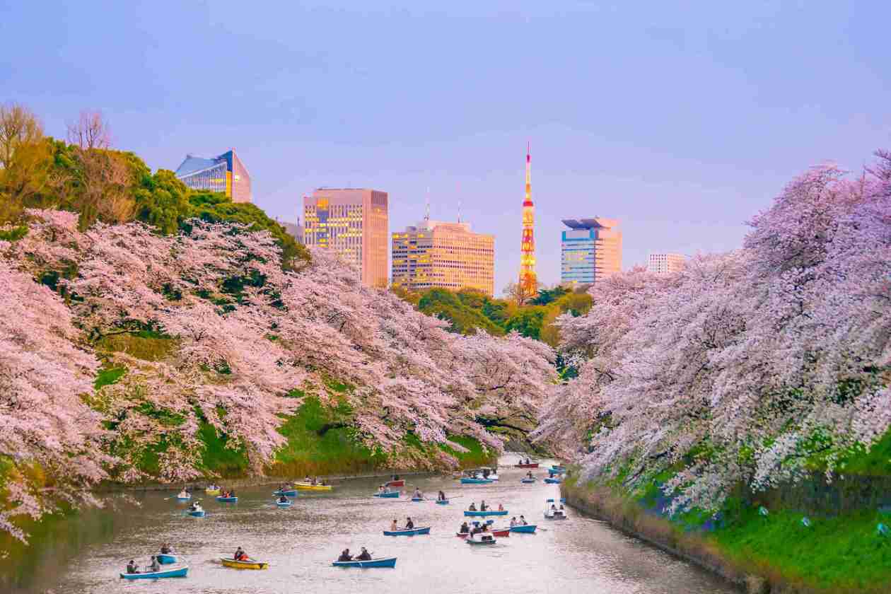 Allée du parc Ueno à Tokyo